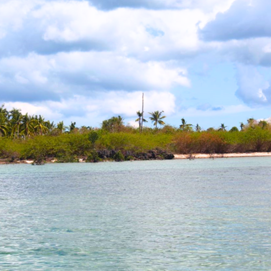 FOR SALE Beach Property at Bantayan Island Cebu 113,443 SQM Cebu