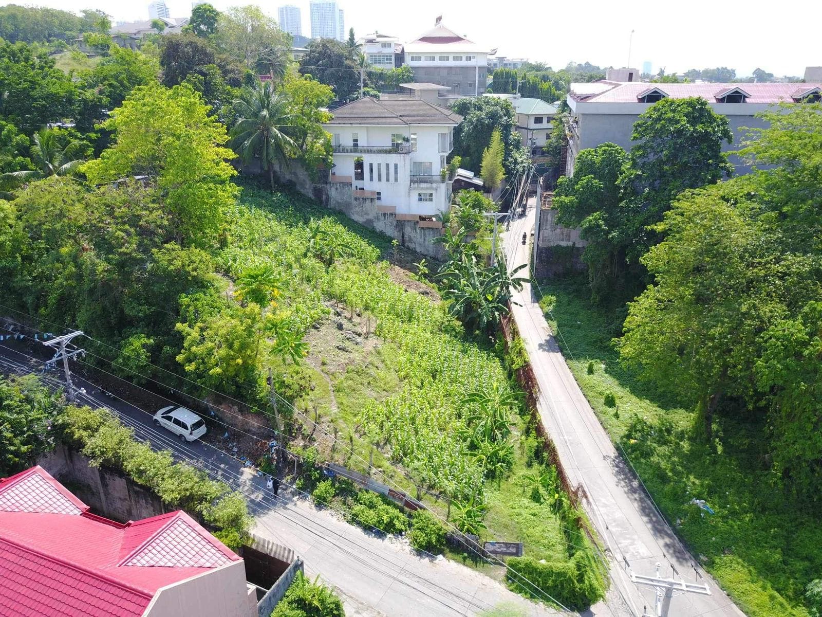 Friendship St. Peace Valley, Lahug Cebu City 1559 SQM Cebu Real