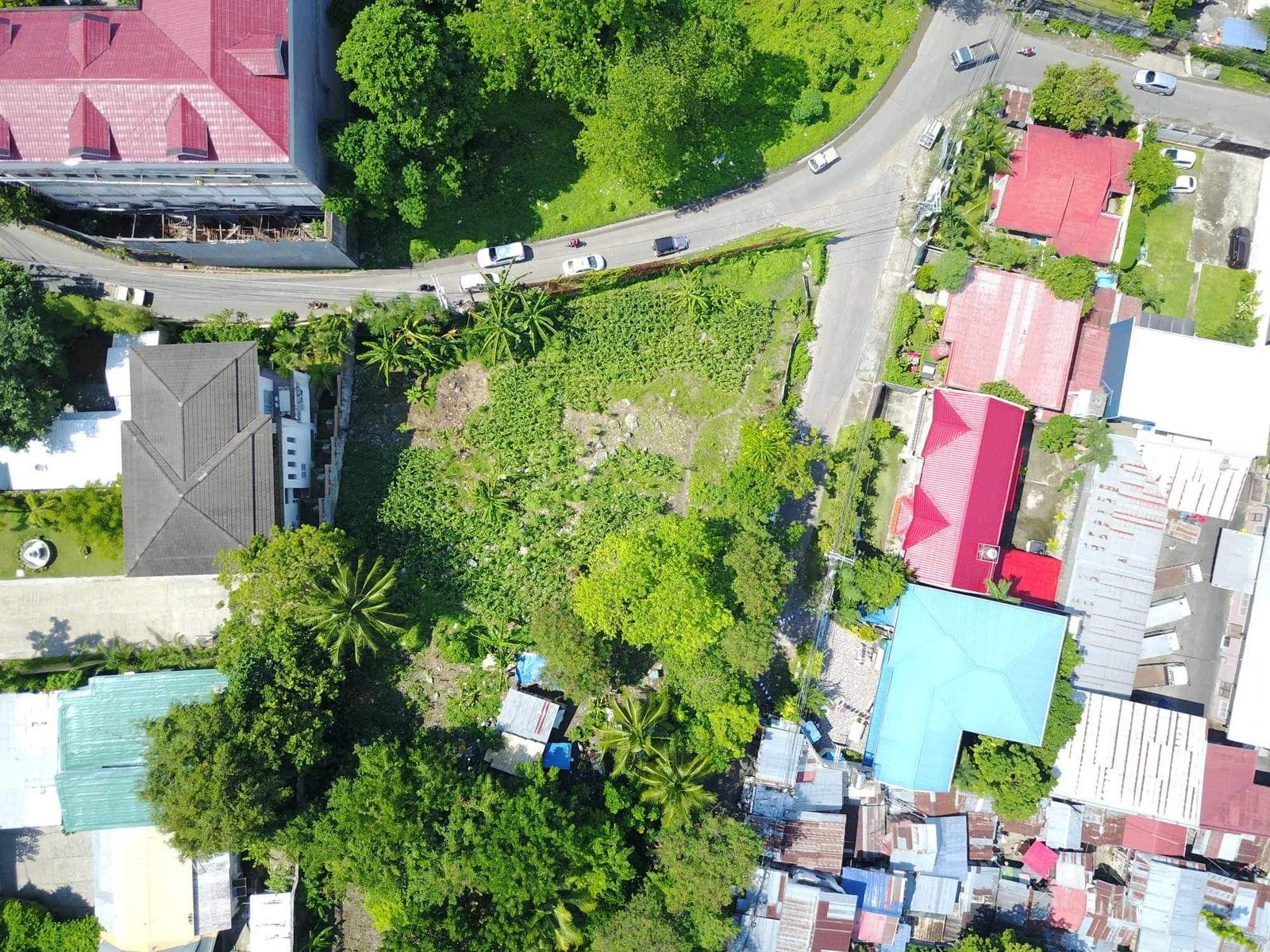 Friendship St. Peace Valley, Lahug Cebu City 1559 SQM Cebu Real