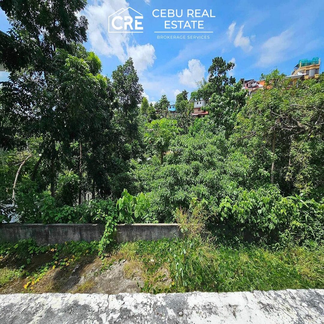 FOR SALE Residential Property in Beverly Hills, Lahug Cebu City