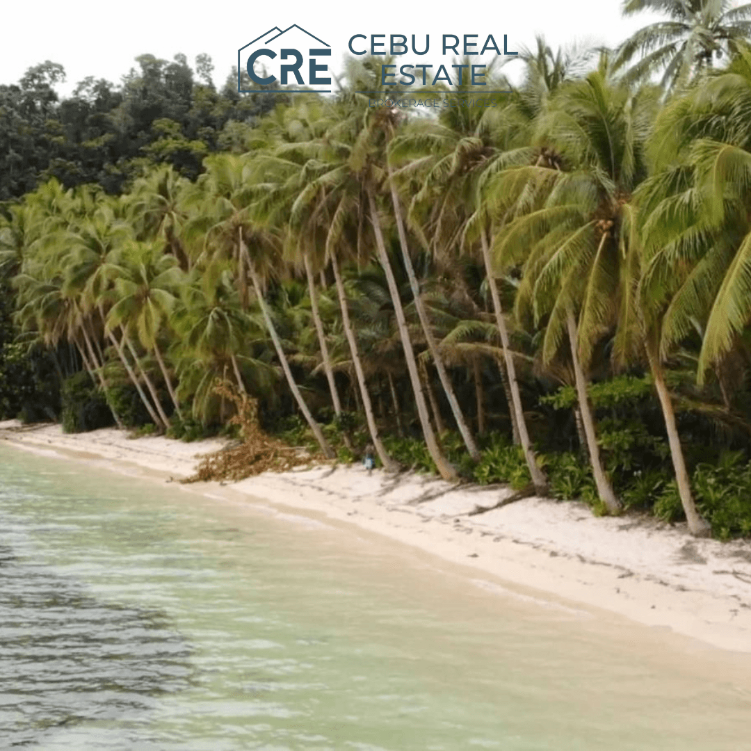 Rare Beachfront Property at Siargao Island 4.7 Hectare — Cebu Real