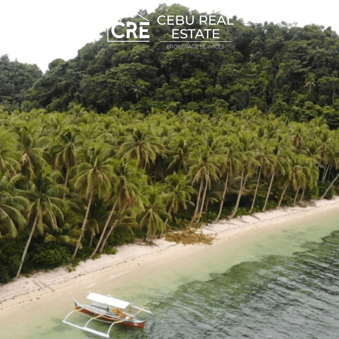 Rare Beachfront Property at Siargao Island 4.7 Hectare Cebu Real