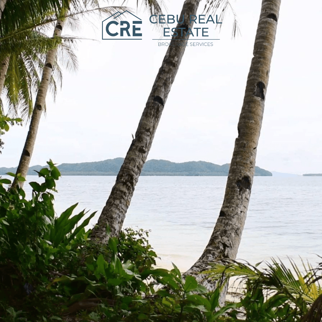 Rare Beachfront Property at Siargao Island 4.7 Hectare — Cebu Real