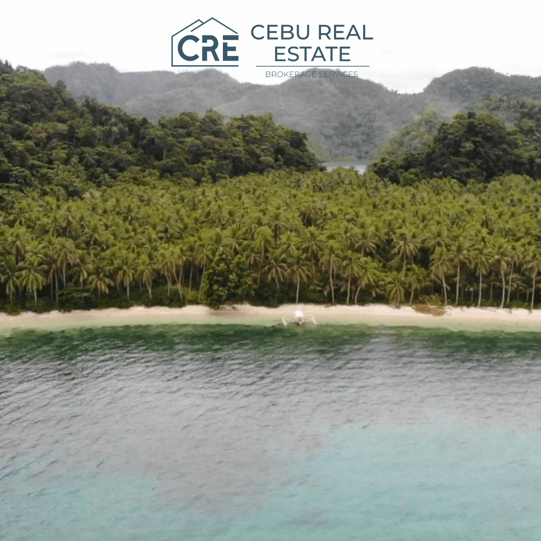 Rare Beachfront Property at Siargao Island 4.7 Hectare — Cebu Real