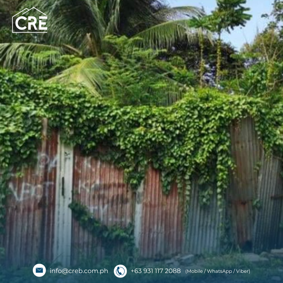 FOR SALE Residential Lot at Sun Valley Subdivision 330 & 347 SQM