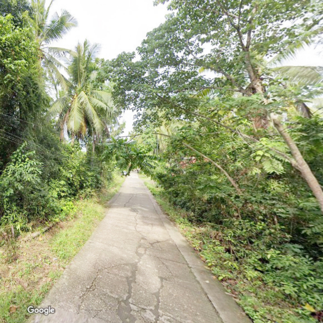 FOR SALE Two Adjacent Lots at Dauis, Bohol 2,428 SQM — Cebu Real Estate Brokerage