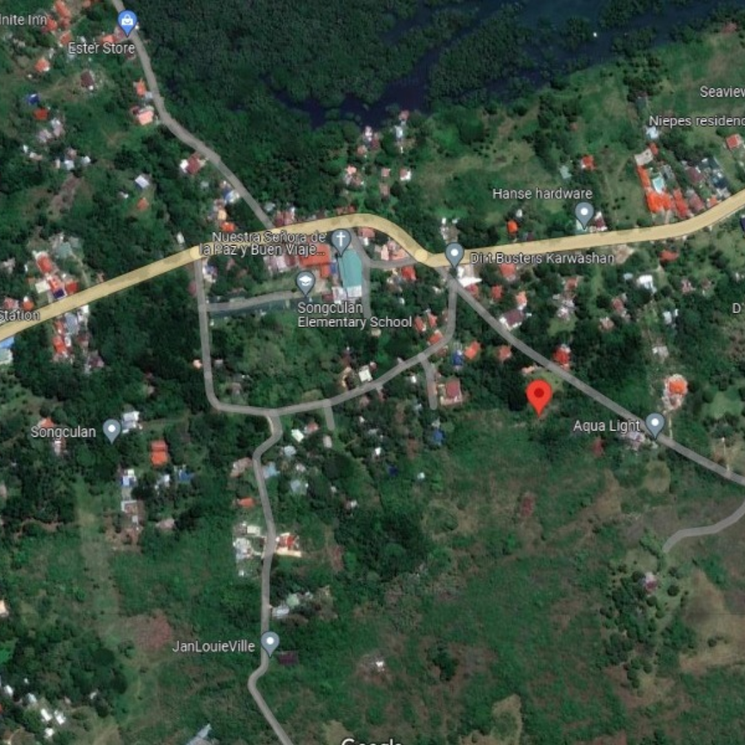 FOR SALE Two Adjacent Lots at Dauis, Bohol 2,428 SQM — Cebu Real Estate Brokerage
