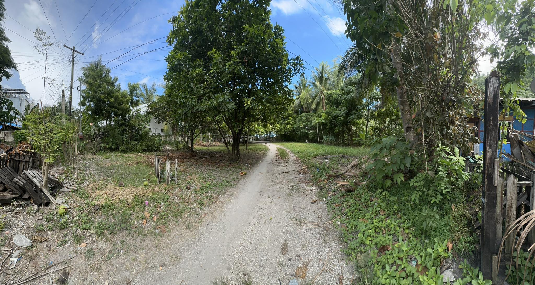 FOR SALE Private Beach Property at Oslob, Cebu 2,277 SQM — Cebu