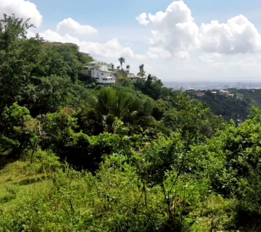FOR SALE Overlooking Busay Property 3 Hectares — Cebu Real Estate