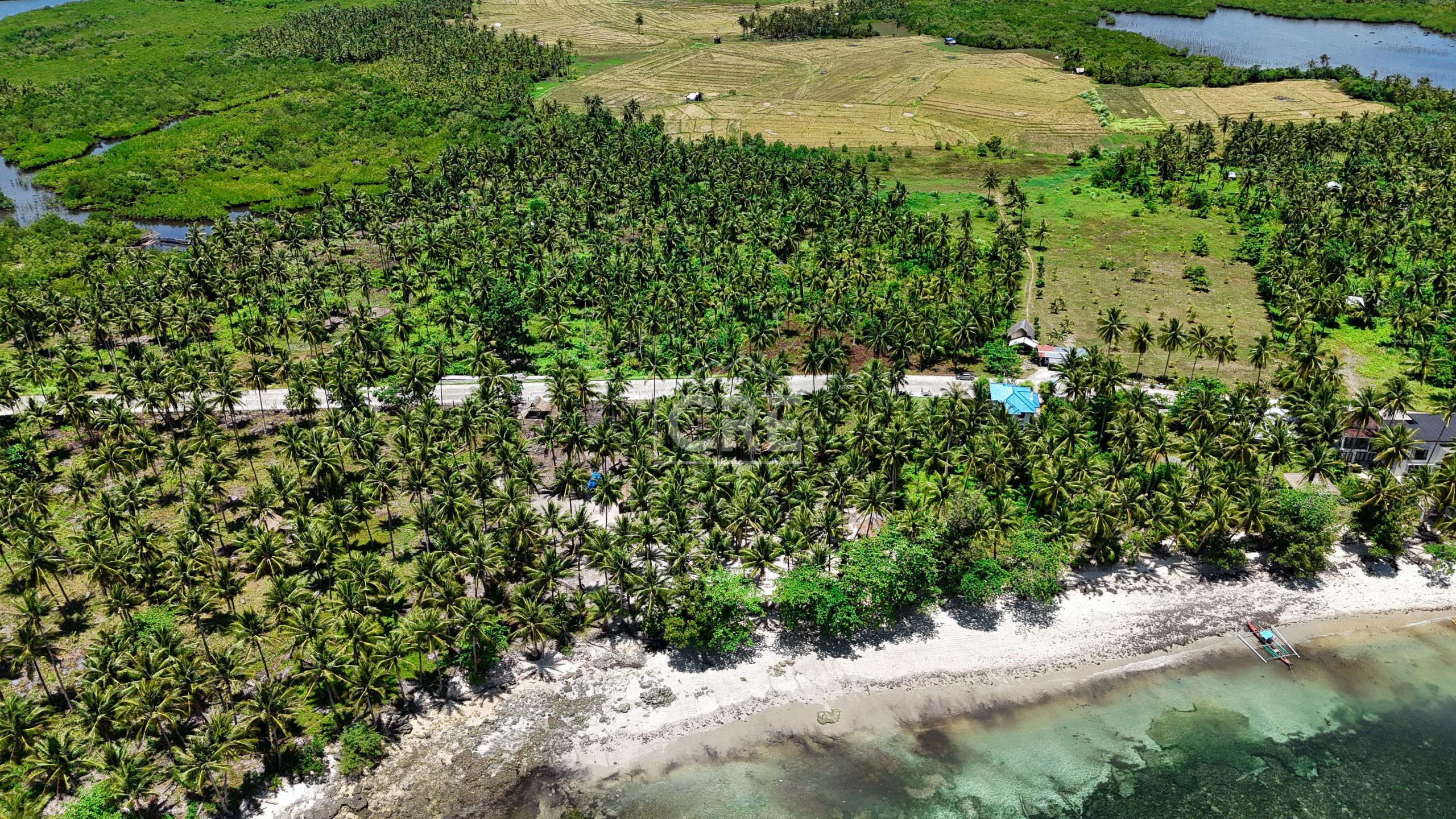 FOR SALE General Luna Siargao Property 17,063 SQM — Cebu Real