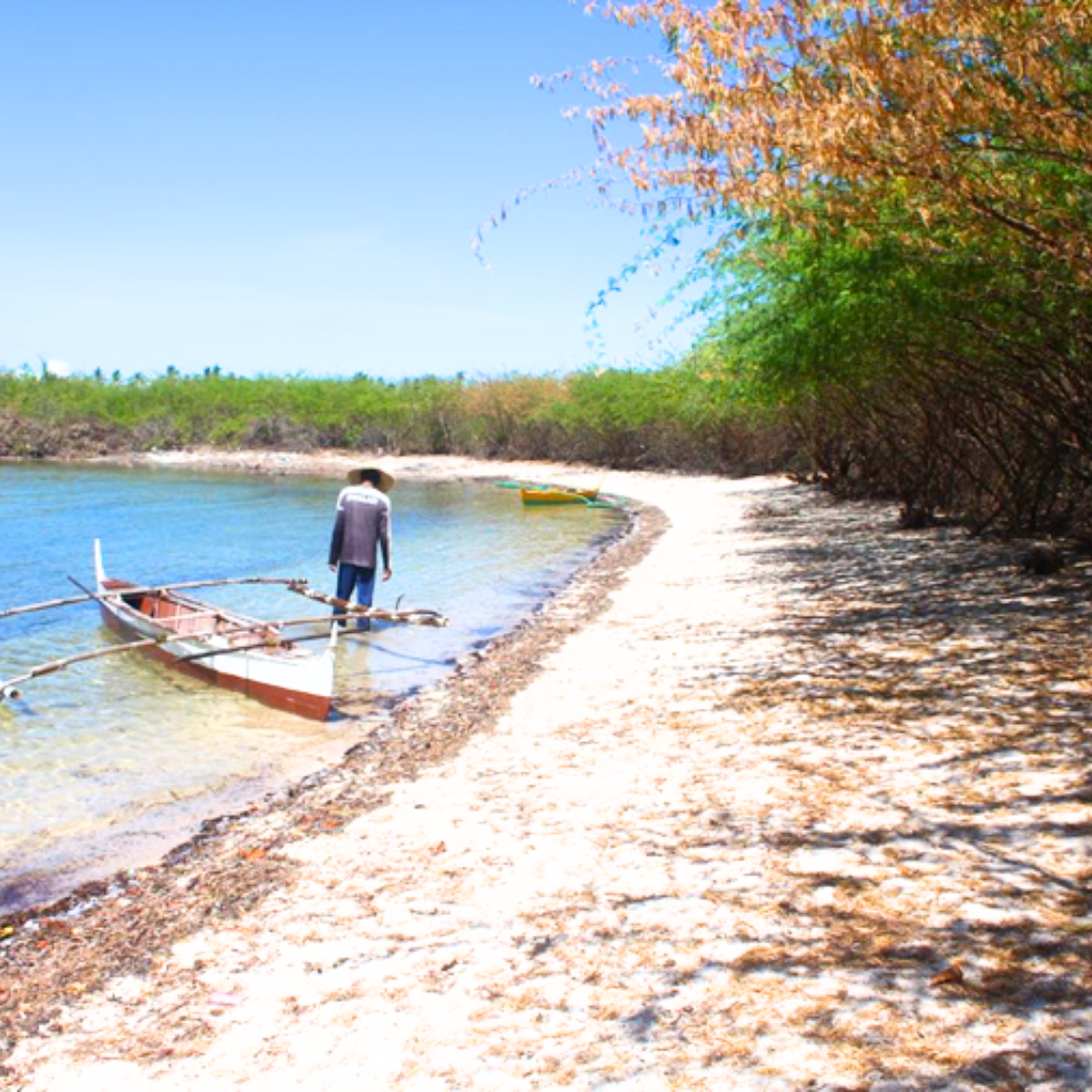 FOR SALE Beach Property at Bantayan Island Cebu 113,443 SQM — Cebu