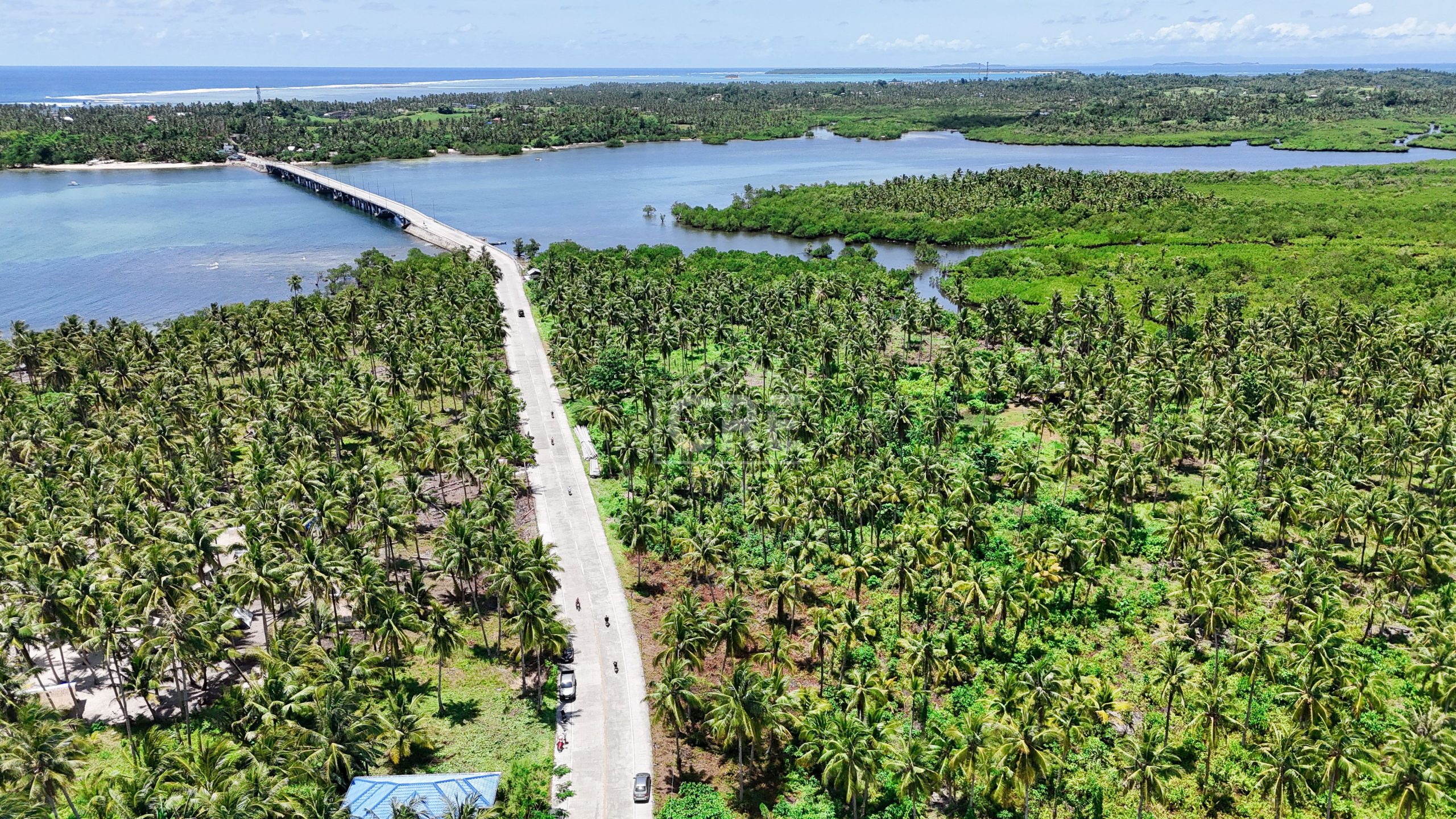 FOR SALE General Luna Siargao Property 3,780 SQM — Cebu Real Estate