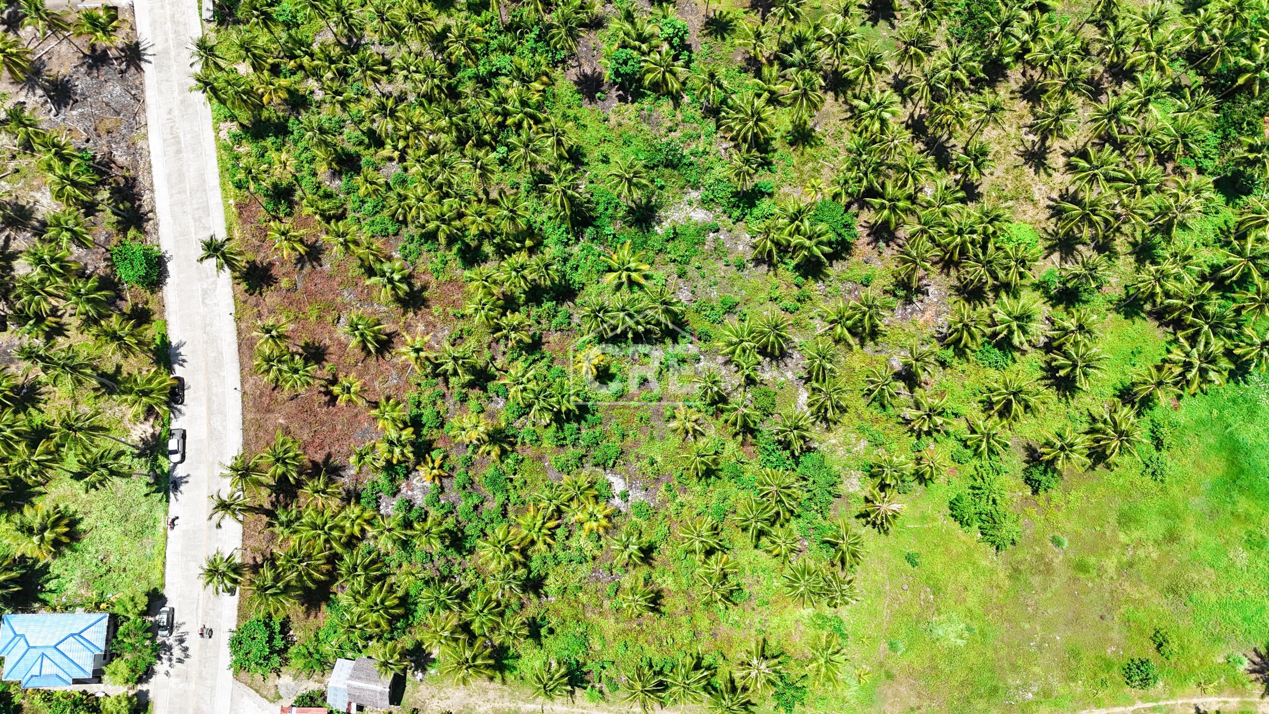 FOR SALE General Luna Siargao Property 3,780 SQM — Cebu Real Estate