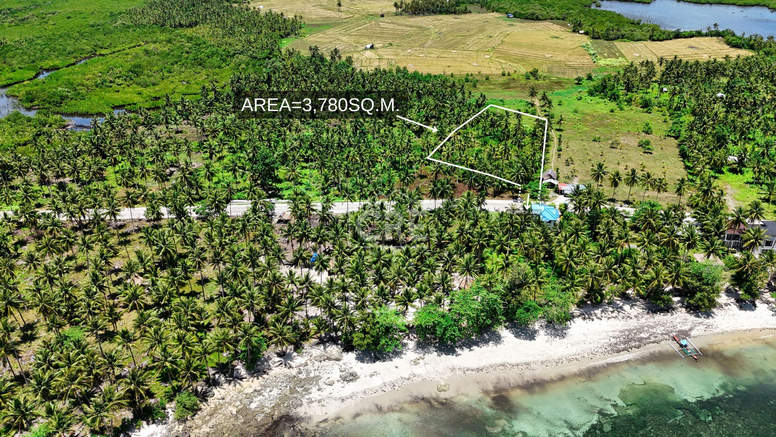 FOR SALE General Luna Siargao Property 3,780 SQM Cebu Real Estate