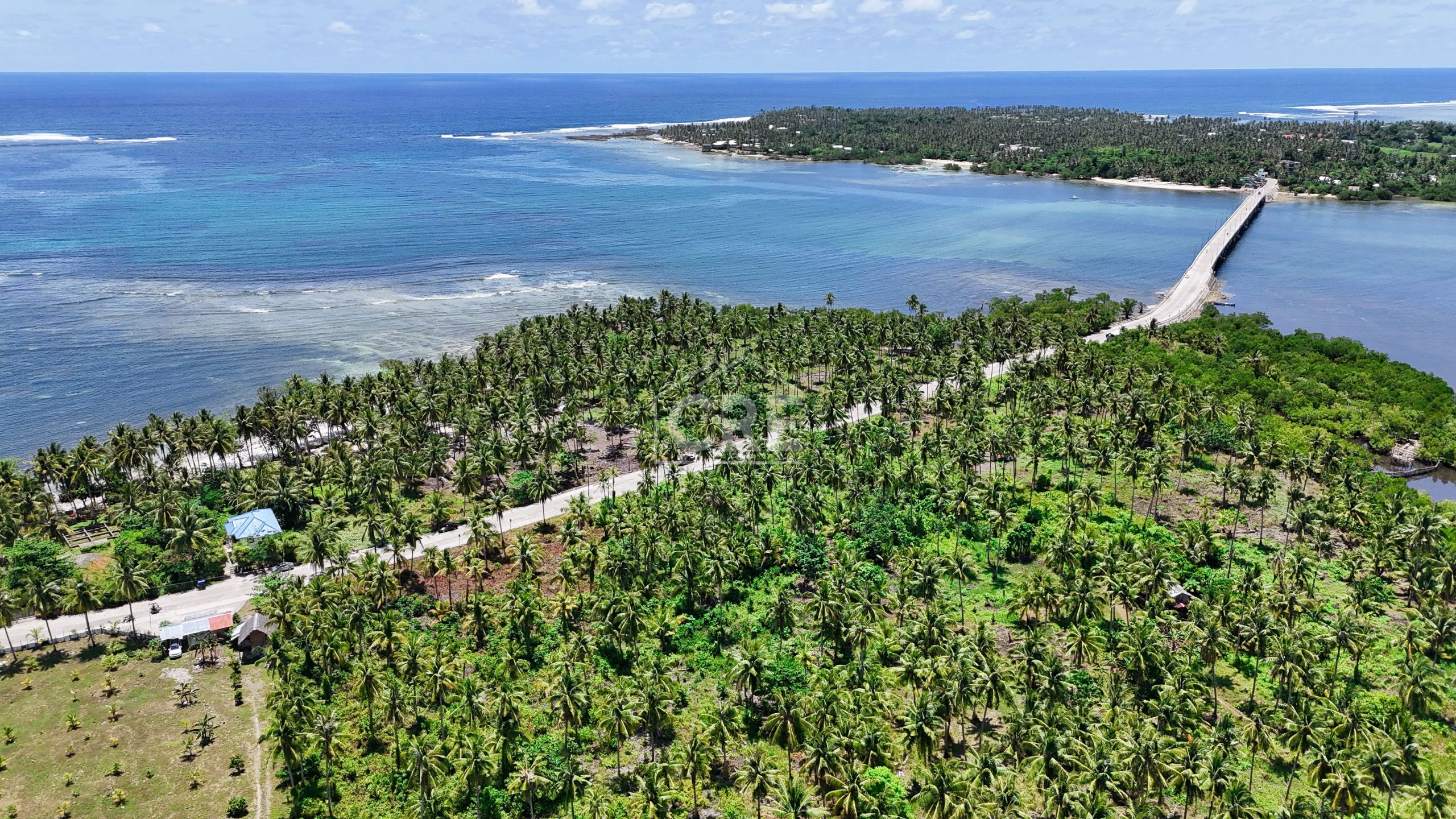 FOR SALE General Luna Siargao Property 3,780 SQM — Cebu Real Estate Brokerage