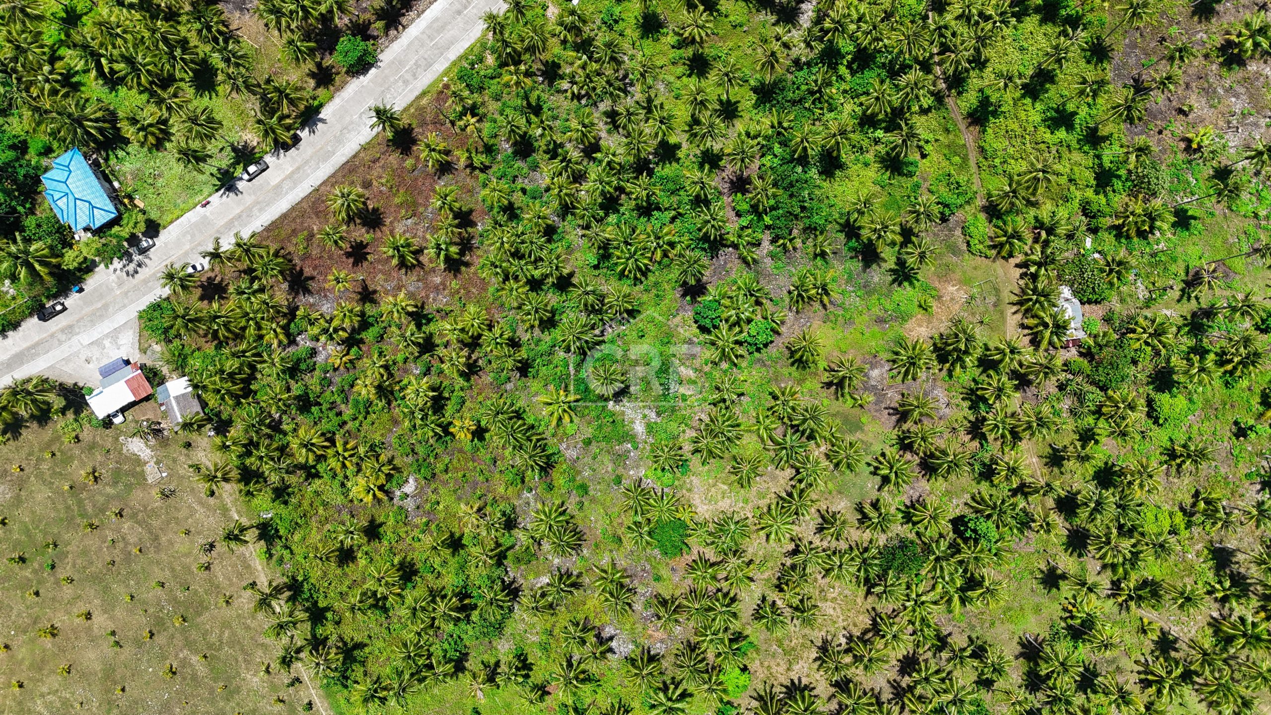 FOR SALE General Luna Siargao Property 3,780 SQM — Cebu Real Estate Brokerage