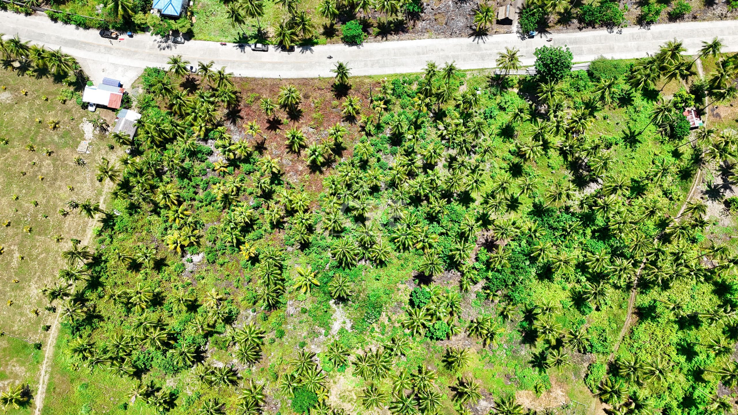 FOR SALE General Luna Siargao Property 3,780 SQM Cebu Real Estate