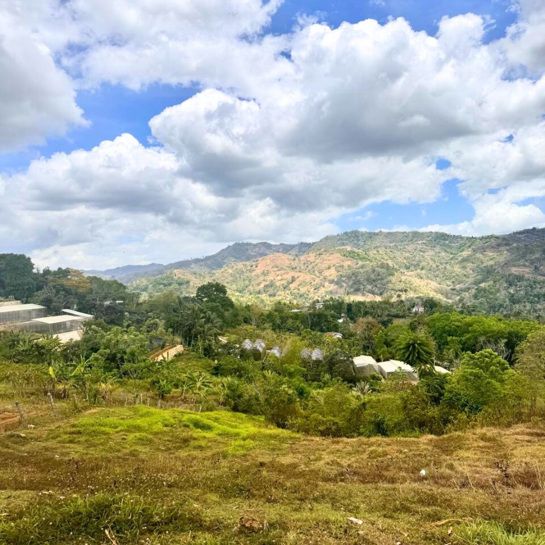 FOR SALE Busay (Sirao) Property 1.2 Hectares Cebu Real Estate