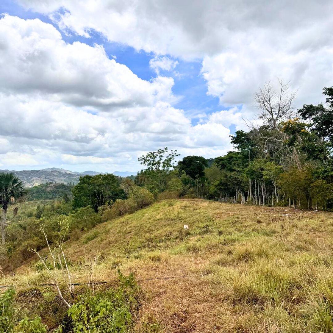 FOR SALE Busay (Sirao) Property 1.2 Hectares — Cebu Real Estate