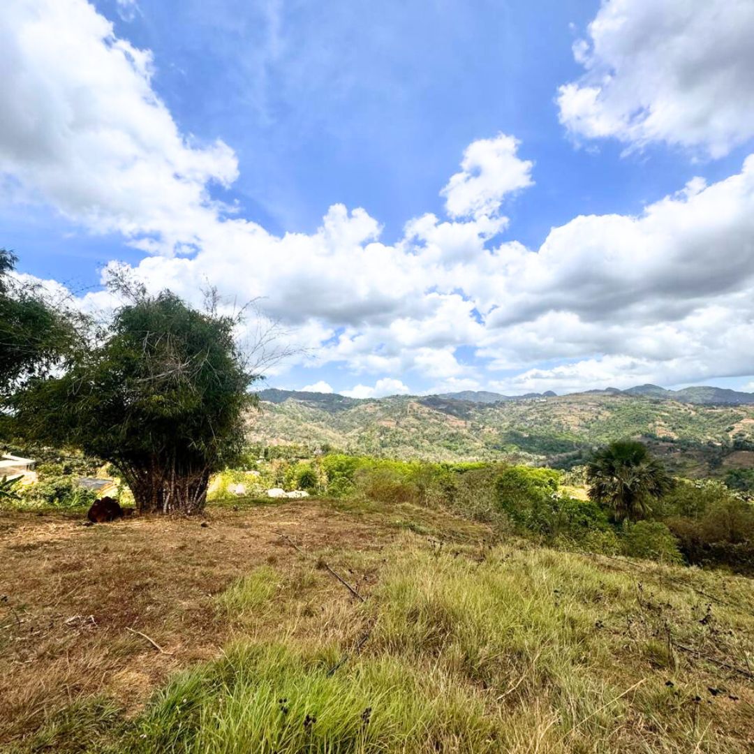 FOR SALE Busay (Sirao) Property 1.2 Hectares — Cebu Real Estate