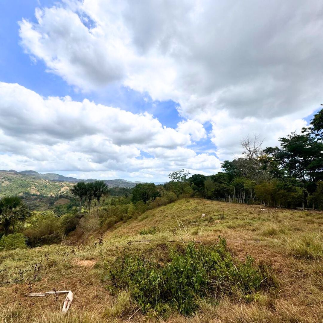 FOR SALE Busay (Sirao) Property 1.2 Hectares — Cebu Real Estate