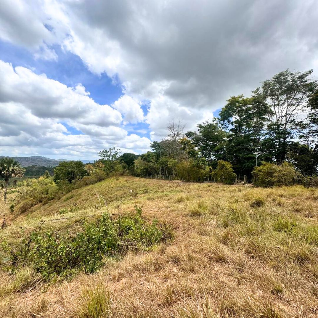 FOR SALE Busay (Sirao) Property 1.2 Hectares — Cebu Real Estate